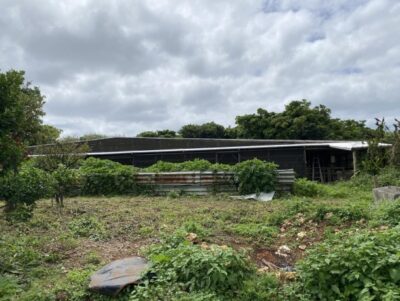 八重瀬町983坪土地　畜舎付き